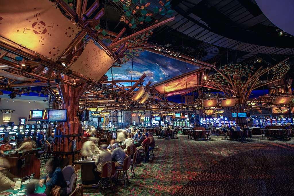 Готель Mohegan Sun Анкасвілл Зручності фото